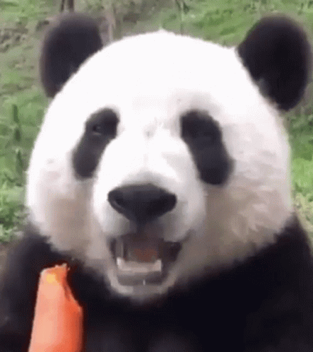 untitled.gif