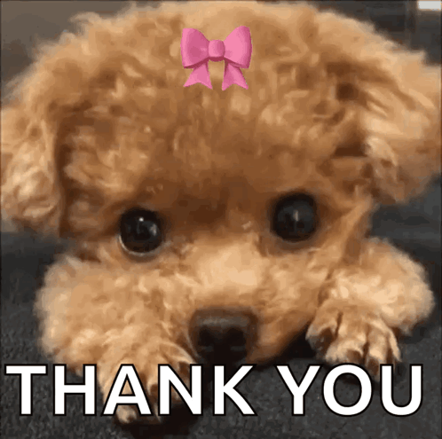 untitled.gif