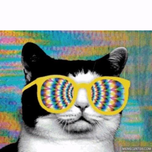 untitled.gif