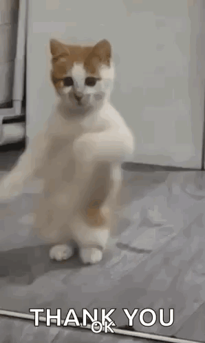 untitled.gif