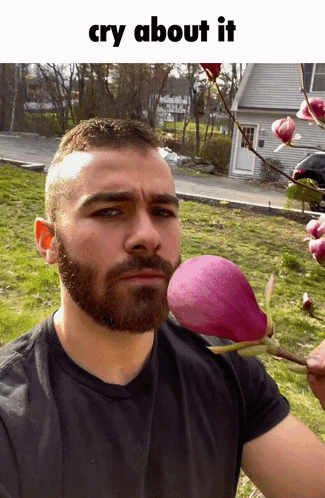 untitled.gif