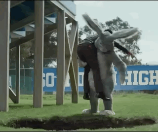 untitled.gif