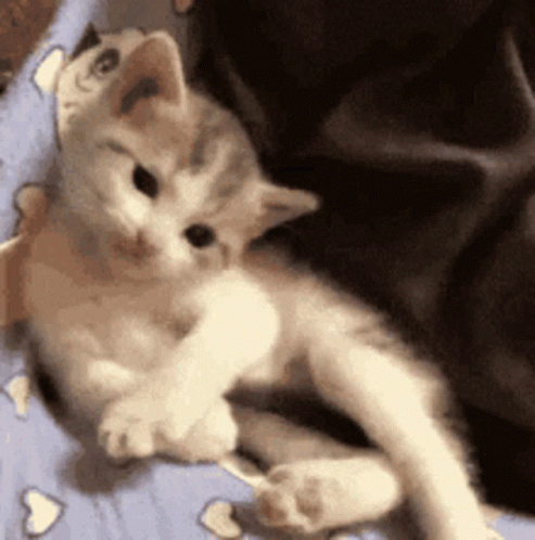 https://media.tenor.com/QJv6CuK78doAAAAC/sup-whatsup.gif