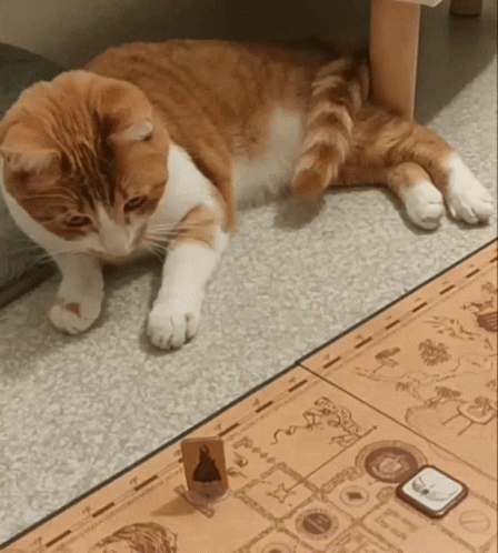 untitled.gif