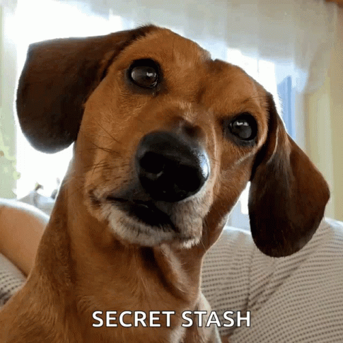 untitled.gif