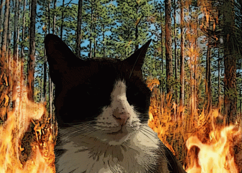 untitled.gif