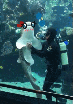 untitled.gif