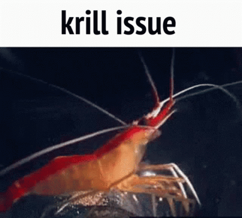 untitled.gif