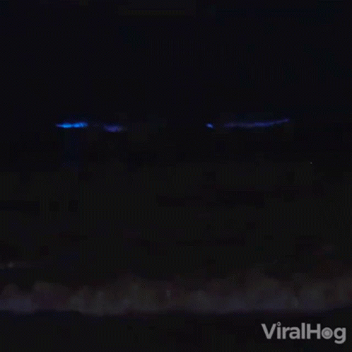 untitled.gif