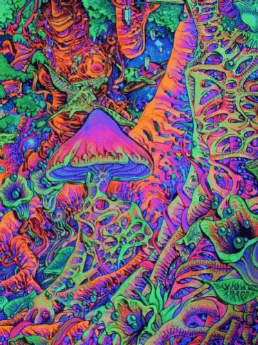 untitled.gif