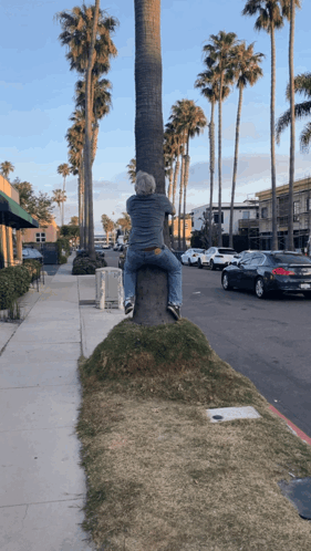 untitled.gif