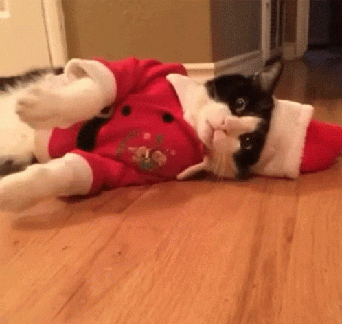 untitled.gif