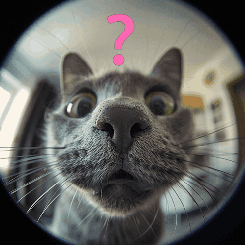 untitled.gif