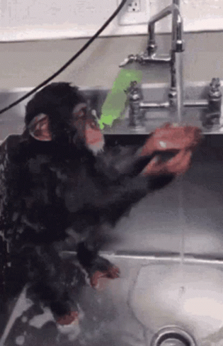 untitled.gif