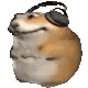 untitled.gif