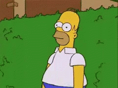 untitled.gif