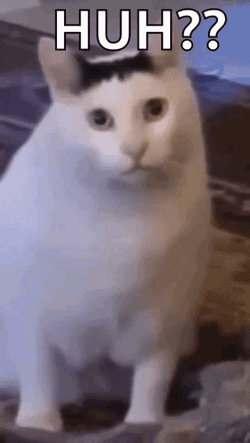 untitled.gif