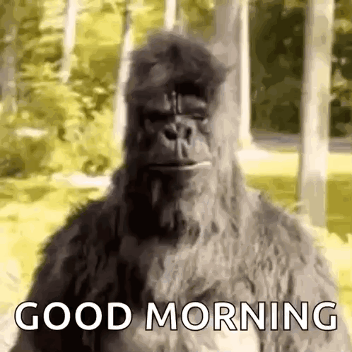 untitled.gif