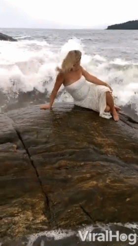 untitled.gif
