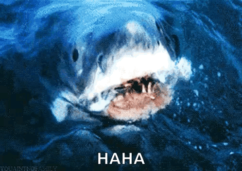 untitled.gif