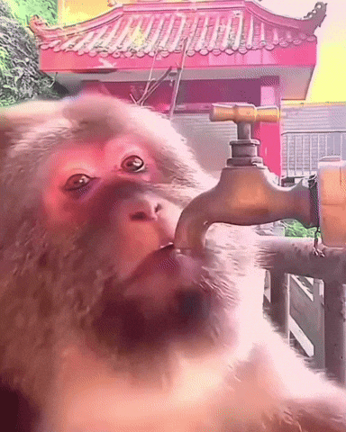 untitled.gif