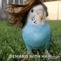untitled.gif