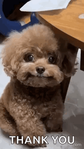 untitled.gif