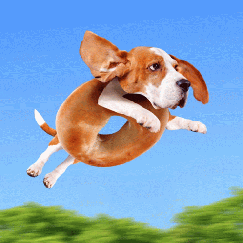 untitled.gif