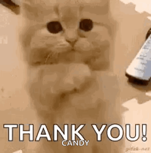 untitled.gif