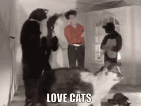 untitled.gif