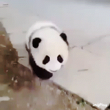 untitled.gif