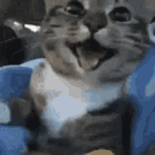 untitled.gif