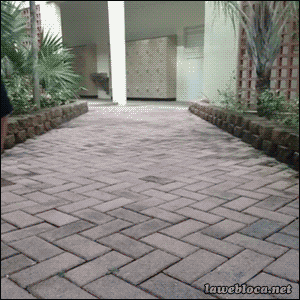 untitled.gif