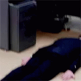 untitled.gif