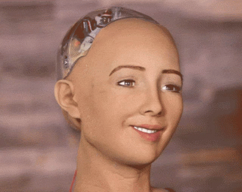 untitled.gif