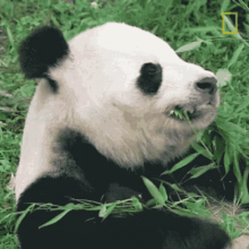 untitled.gif