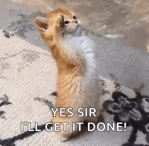 untitled.gif