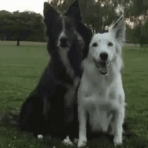 untitled.gif