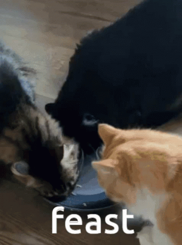 untitled.gif