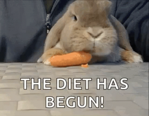 untitled.gif
