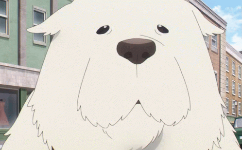 untitled.gif