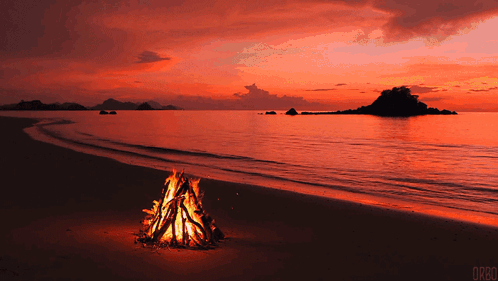 untitled.gif