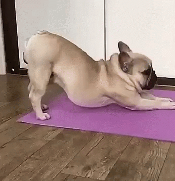 untitled.gif