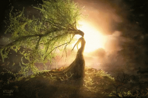 untitled.gif