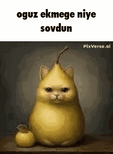 untitled.gif