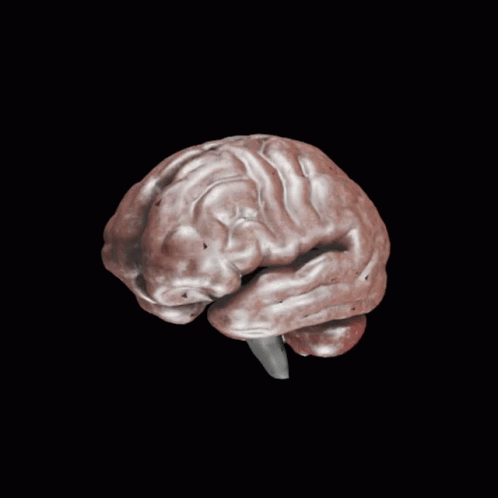 untitled.gif