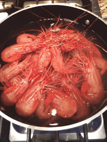 untitled.gif