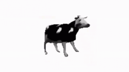 untitled.gif