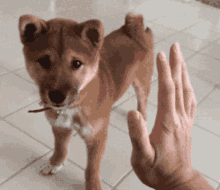 untitled.gif