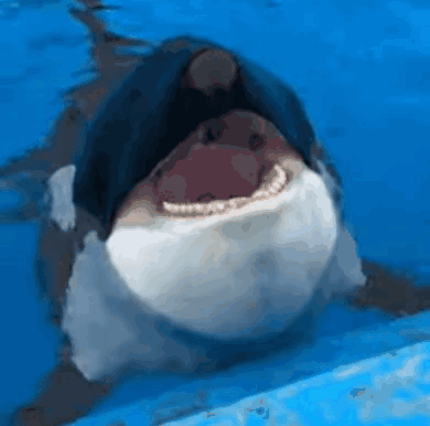 untitled.gif